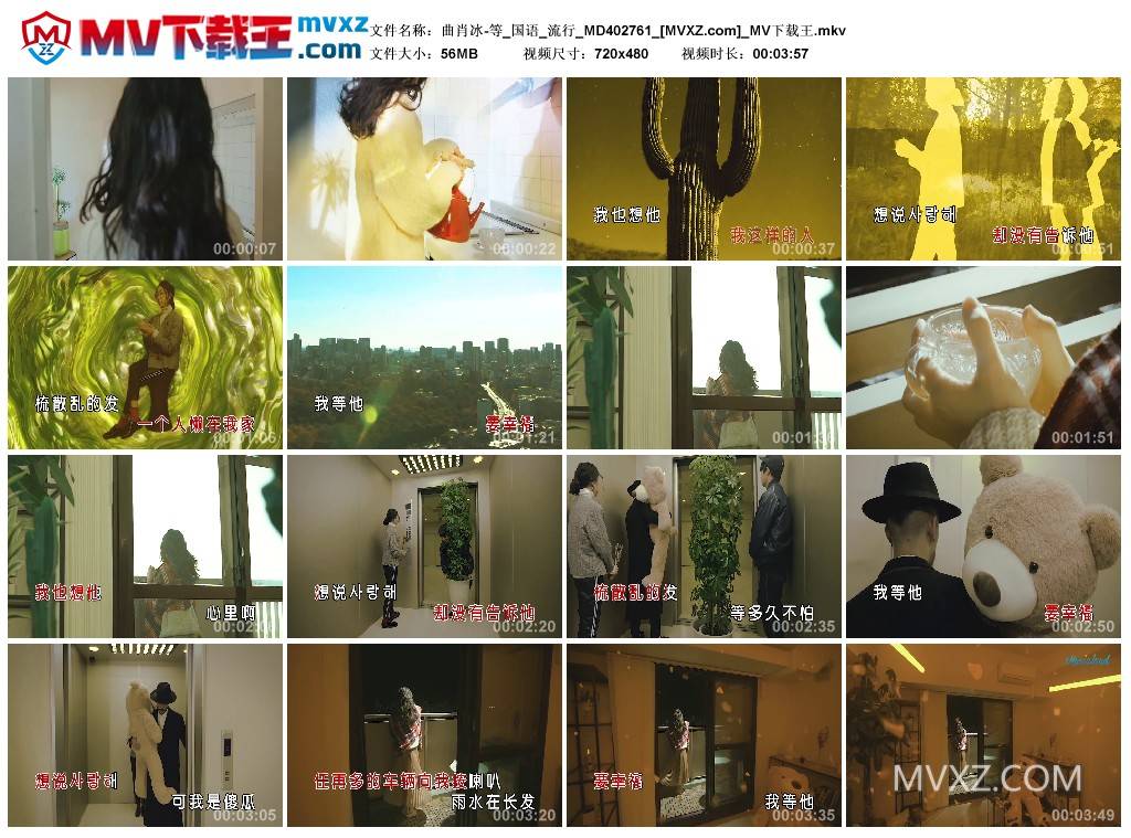 曲肖冰-等_国语_流行_MD402761